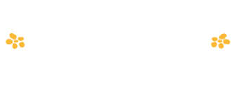 Snell Surfurniture